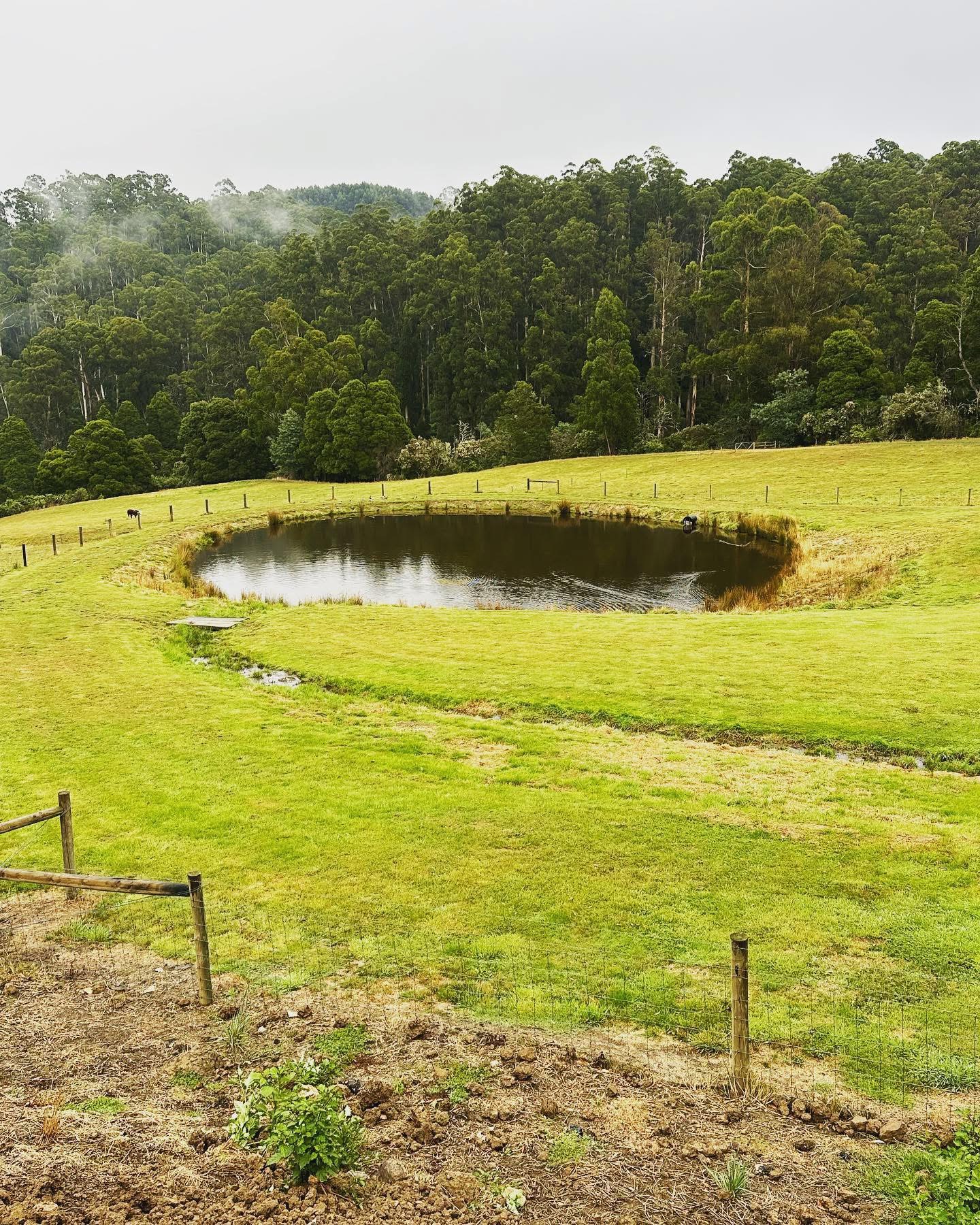 TASK Elite Dams